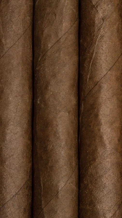Top — Ceylon cardamom, elemi.