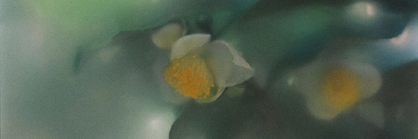 Floral Family