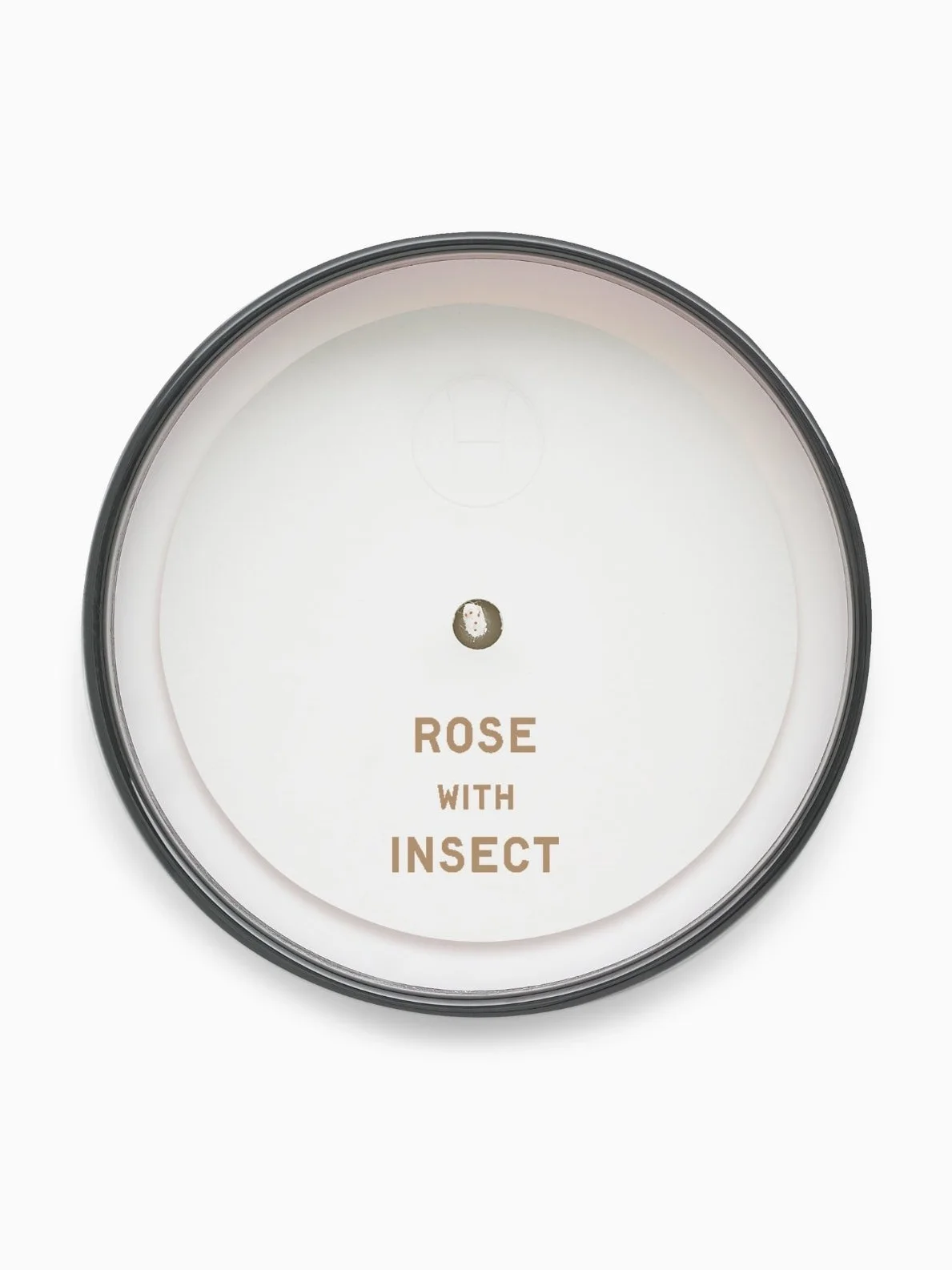 Perfumer H Rose With Insect