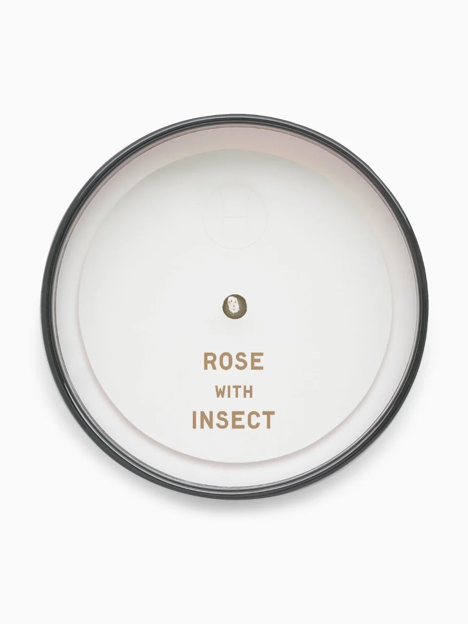 Perfumer H Rose With Insect