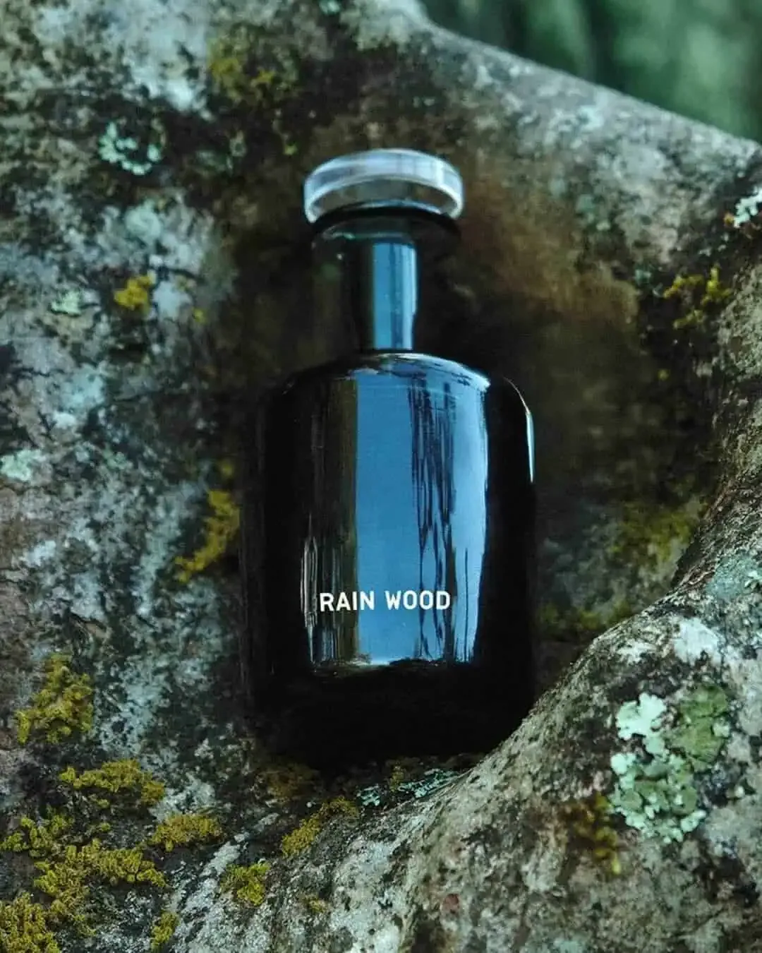 Perfumer H Rain Wood 手工瓶放在長滿苔蘚的石上